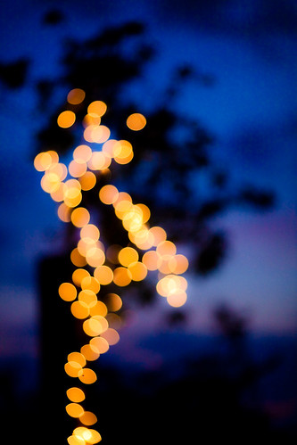 monday sanmigueldeallende santafeworkshops personal lights tree flickrheroapp bokeh