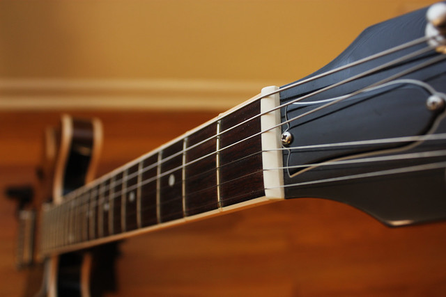Photo：Gibson ES 335 By John W. Tuggle