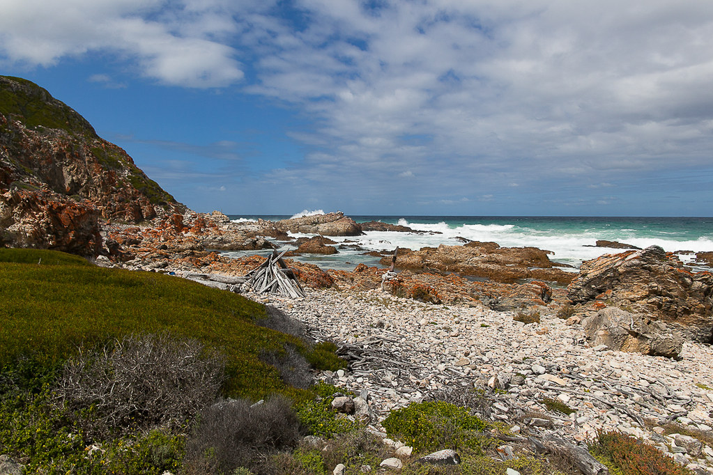 Whale Trail, The Hope Nature Reserve, South Africa, 2013