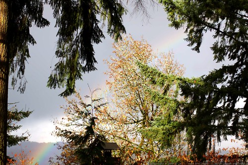 rainbow over our cul de sac    MG 9137