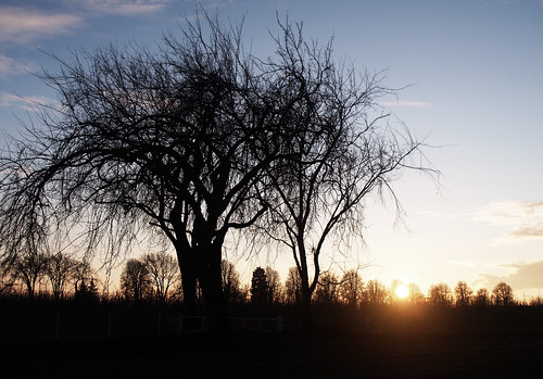 sunset orchard yakima