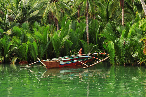 nature rural reflections river landscape countryside boat philippines greens tropical coconuts tropics dockedboat fongetz francistan palapagsamar tinampo barangaysumuroy barangaytinampo nipapalmtrees mantakingabath