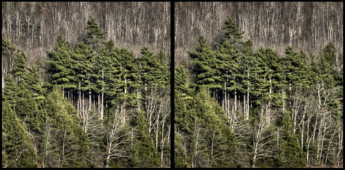 3d maine stereo hdr crossview 3dcrossview