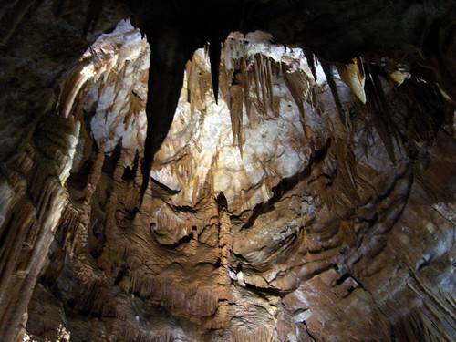 Looking up at Jenolan Caves