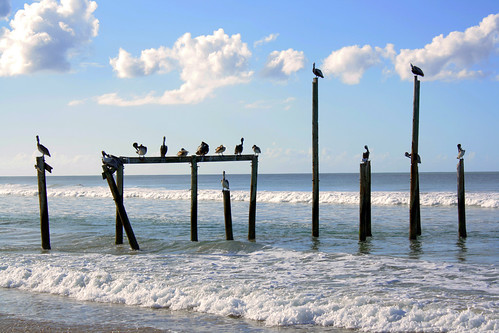 ocean beach pelicans dock sand puertorico aguada espinar