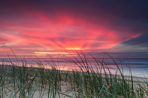 beach water clouds sand dunes vegetation sunrisesunset pinksky sunshinecoast foredunes yaroombabeach