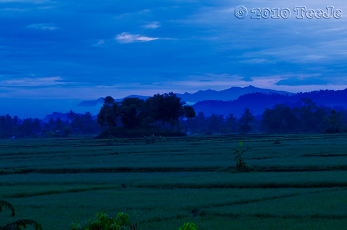 morning indonesia geotagged westjava nikkor paddyfield d300 ciamis teeje geo:lat=7310648 geo:lon=108223744