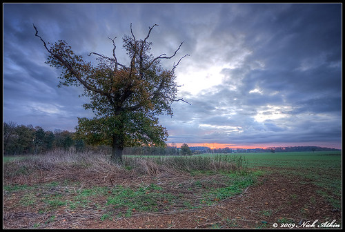 blue trees sky orange green field clouds sunrise lincolnshire grimsthorpe grimsthorpeestate
