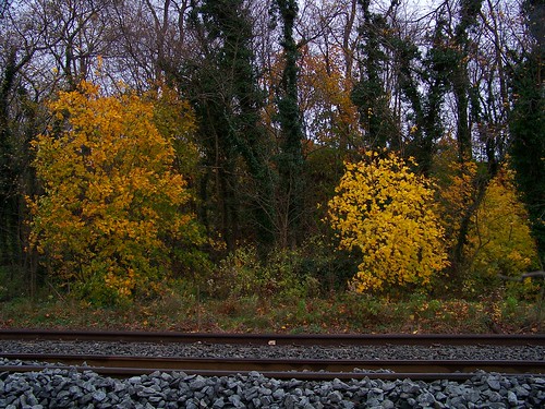 autumn fall newjersey nj burlingtoncounty fieldsboro