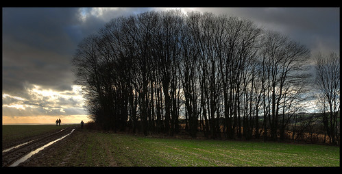 uk trees winter sunset england reflection silhouette landscape sussex brighton unitedkingdom eastsussex baretrees southdowns winterlight winterlandscape wintry southdownsway englishlandscape sussexlandscape boblyp sussexborderpath