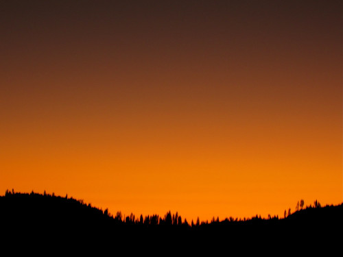 california sunset usa nationalpark yosemite foresta