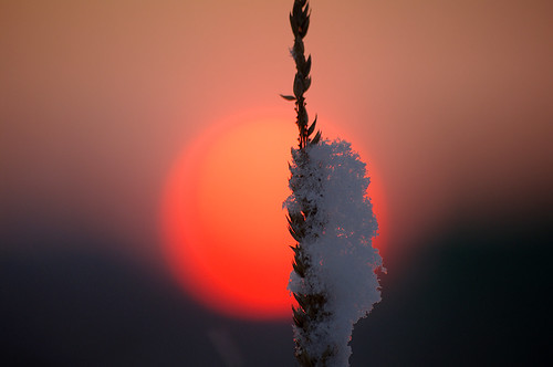 winter sunset sun snow estonia pentax lumi eesti talv päike k7 naturesfinest loojang vanagram updatecollection