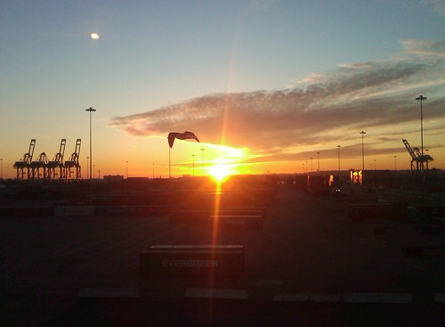 sunset sunrise work wow crane
