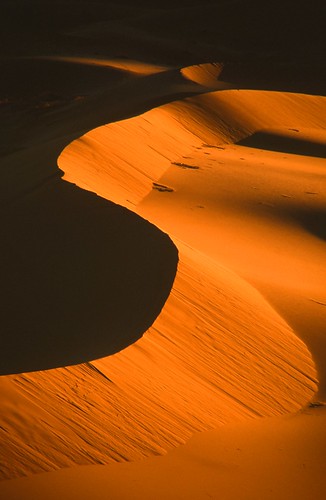 Sahara Dune