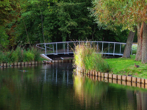 bridge reflection tree bird water river walks kingslynn