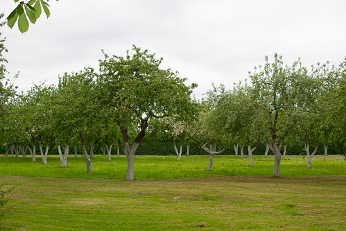 castle orchard latvia residence appletree appletrees pilsrundāle rundāle dukesofcourland