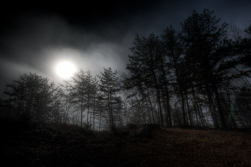 trees sky sun mist black fog dark roanoke va hdr longridge