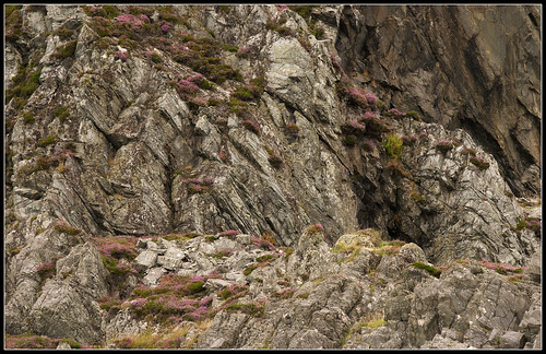 nature rock stone landscape scotland heather argyll adventure jura limestone geology westcoast metamorphic seafari seatrip