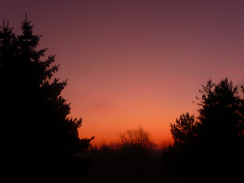 november autumn trees sky orange west fall pine sunrise dawn day belmont michigan horizon begins
