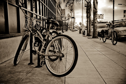 california ca city art bike bicycle sepia blackwhite mood shadows sandiego pb sidewalk palmtrees socal feeling pacificbeach southerncalifornia
