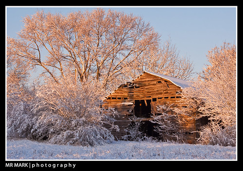 trees snow barn sunrise ga georgia dilapidated forsyth