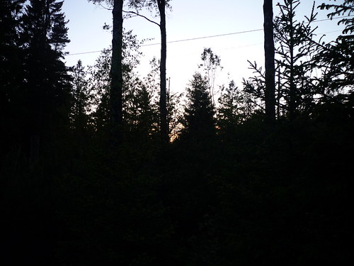 sunset black nature skyline forest evening europe darkness sweden scandinavia gråbo