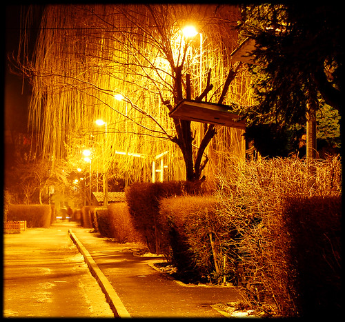 park street trees light bw black tree abandoned nature yellow night bench evening blackwhite alley nikon silent lonely brasov d40 wwhite rubyphotographer bestofmywinners outstandingromanianphotographers