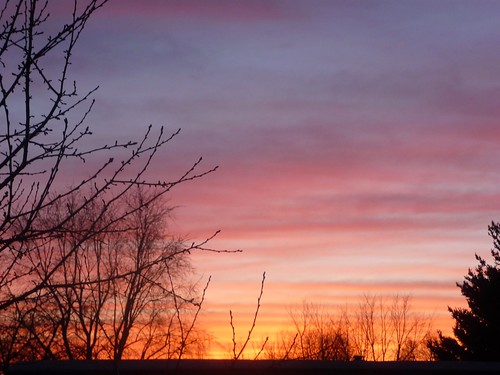pink blue trees sunset sky orange west clouds march spring skies dusk belmont michigan