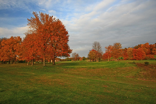 autumn trees fall golf massachusetts foliage golfcourse agawam stannecountryclub 16thholelookingtoward10and11