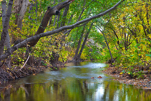 california park city autumn urban color fall leaves creek season leaf parks valley sacramento chico northern bidwell