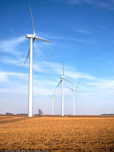 portrait usa field minnesota rural energy wind alternativeenergy electricity ge cloudysky backview windpower turbines windturbines trimontw
