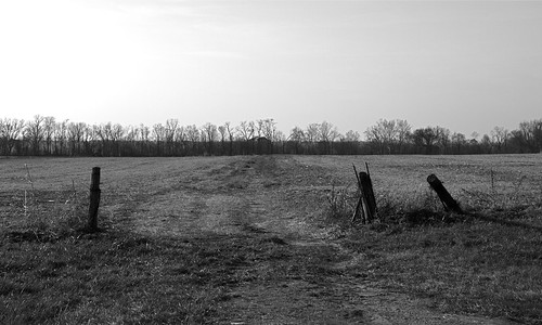 trees ohio bw white black field rural farm empty route land 23 chillicothe