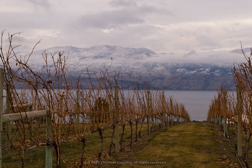 winter lake snow canada mountains nature water clouds landscape nikon winery vineyards grapes fields kelowna atmosphericperspective