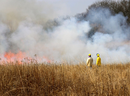 grass fire control smoke burn prairie habitat controlled prescribed prescribe reedfarm prairieburn