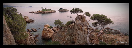 blue sea panorama mer les la mediterranean pin fort pano award paca bleu parasol guillaume var panoramique dubois île maures mediterranée londe îlot estagnol brégançon