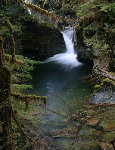 green nature water beauty creek outdoors waterfall washington scenery hiking skagit finney