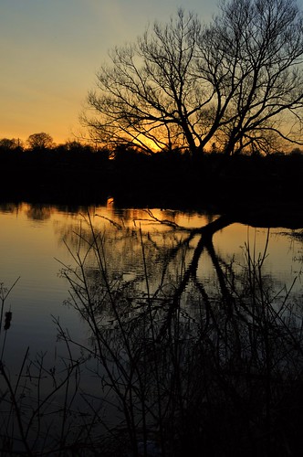 trees sunset ontario canada reflection water silhouette peterborough otonabeeriver