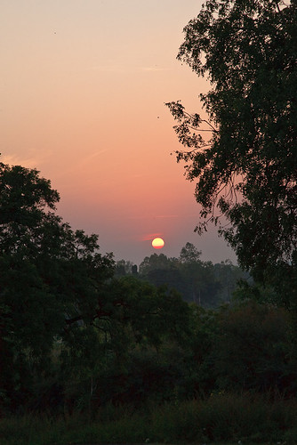 trees sunset india ellora vagabonding vagabonding200910