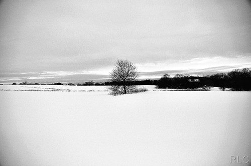 winter bw snow tree field sunrise farm d90 tokina1224mm