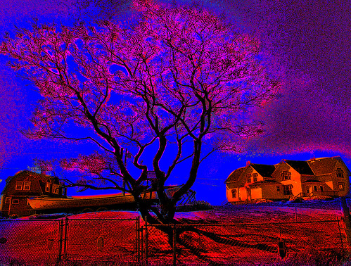 eastern point lighthouse house gloucester massachusetts usa america united states north earth solar system universe sunlight sunset yellow tree red pink photoshop flickr google yahoo stumbleupon facebook space recolor saturation manipulate autumn layer mask lab color image newsroom interesting creative surreal avant guarde