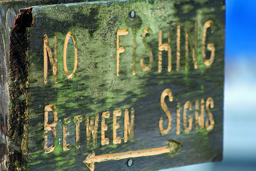 county wood brown green beach sign canon wonder pier washington moss fishing flickr unitedstates pacific northwest pugetsound imaging olympic canonrebelxt facebook edmonds snohomish starlight snohomishcounty nofishing starlite