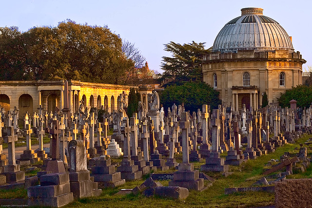 152/365 - Brompton Cemetery