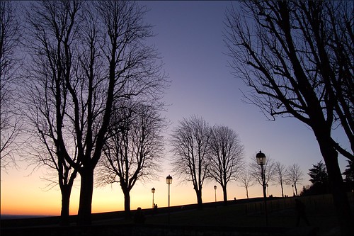 trees light sunset italy alberi tramonto nikond50 mura bergamo silouhette cittàalta