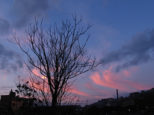 sky tree alberi clouds sunrise italia nuvole alba genova cielo campi