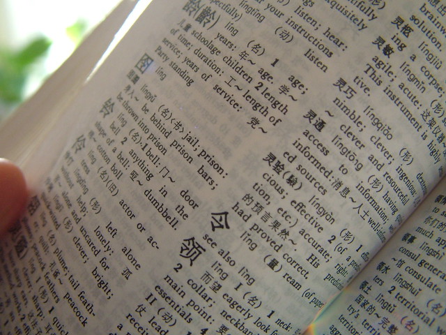 Chinese character dictionary