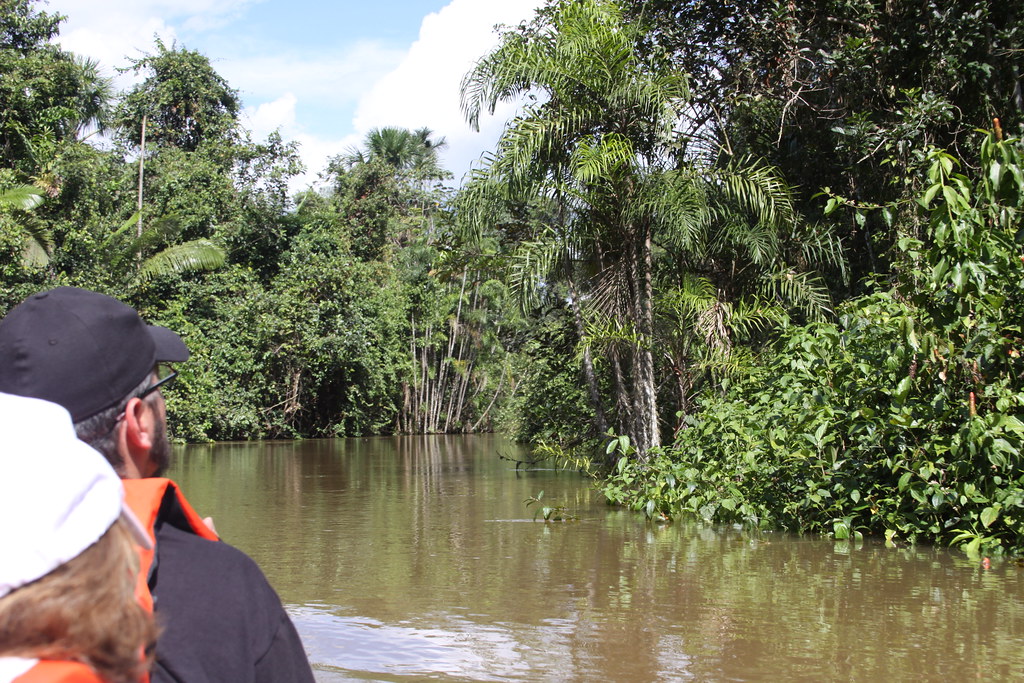 Cuyabeno River, Amazon Rain Forest