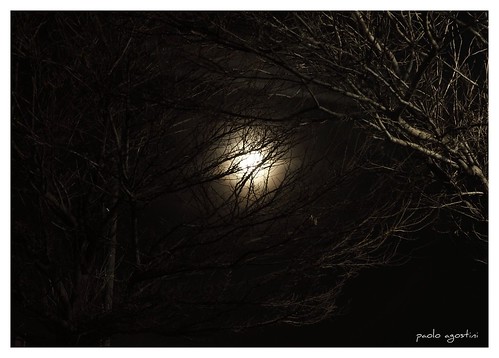 moon alberi luna chioggia notturni fotodellanima