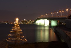 sparkler christmas tree visits Ringling Bridge in Sarasota