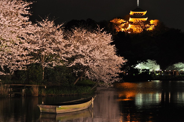 Japanese Garden at Night | @Sankeien,Yokohama,Japan View ...

