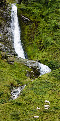mountains norway waterfall sheep